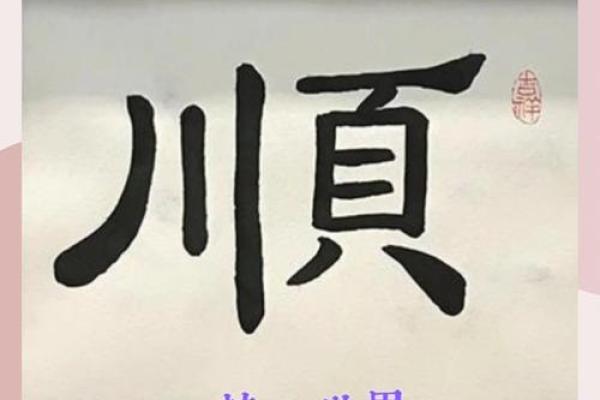 命格与无儿子：顺应天地，享受人生的另一种智慧
