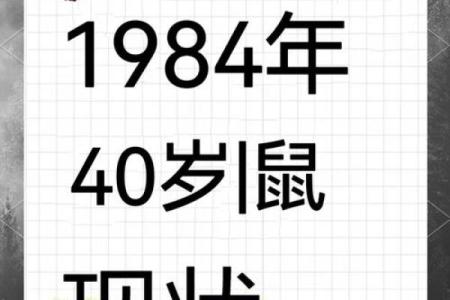 84年老鼠命运解析：鼠年人的性格与运势分享