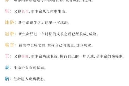 属相与命运：探究五行的奥秘与人生指导