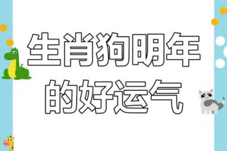 探秘2018年属狗人的命运：怎样化解困境，迎来好运
