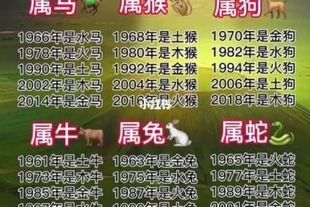 82年和80年命理的精彩对比：探秘生肖的命运之旅