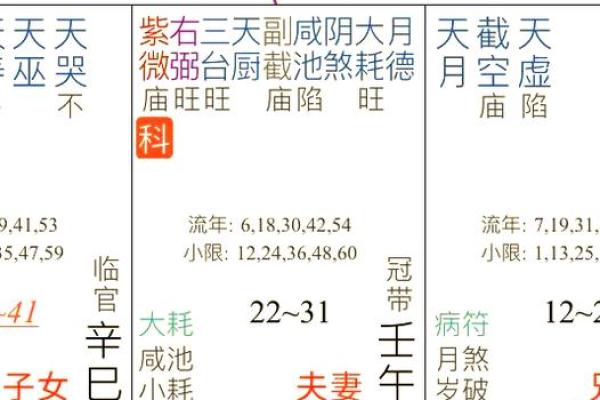 紫微命格：解析为何“紫微命格子女”在生活中展现出非凡魅力与能力