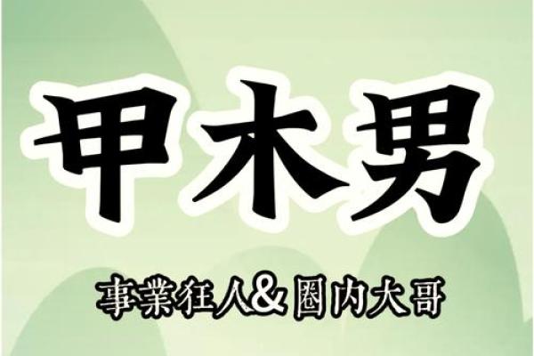 探秘木命：用什么来补充木的缺失，实现人生的和谐与平衡