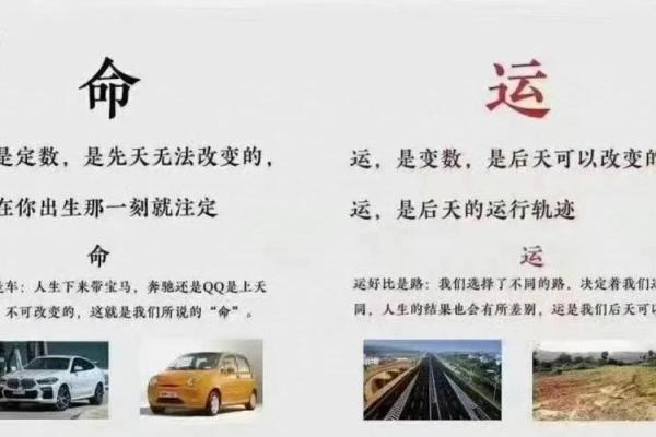 牛年命运：探秘2009年的命与运，牛年人生的启示与感悟