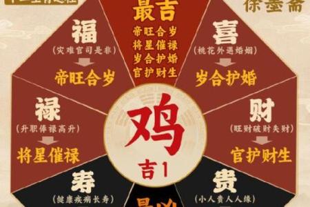2017年属鸡的朋友们，你们属于什么命？开运秘籍大揭秘！