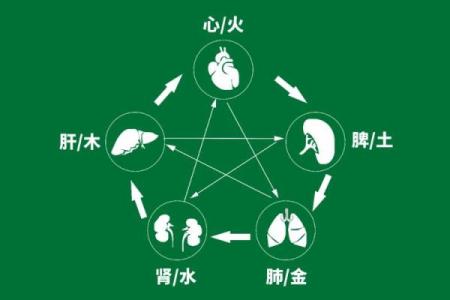 探秘木命：用什么来补充木的缺失，实现人生的和谐与平衡
