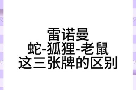 1996年出生的人命运解读：揭开生肖鼠的神秘面纱