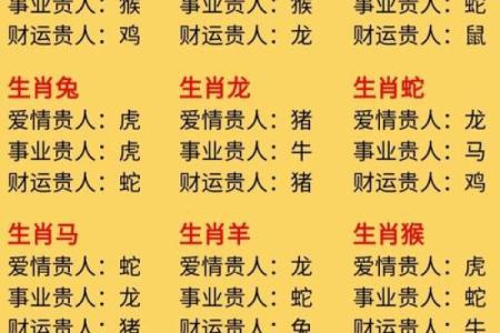 揭秘阴气命理：哪些生肖最易受阴气影响？