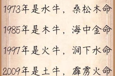 牛年命运：探秘2009年的命与运，牛年人生的启示与感悟