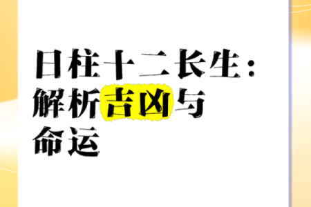 探秘壬戌己酉命格：命运的秘密与潜能分析