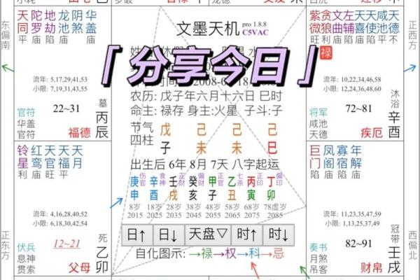 探秘11月己未：揭示命理背后的秘密与智慧