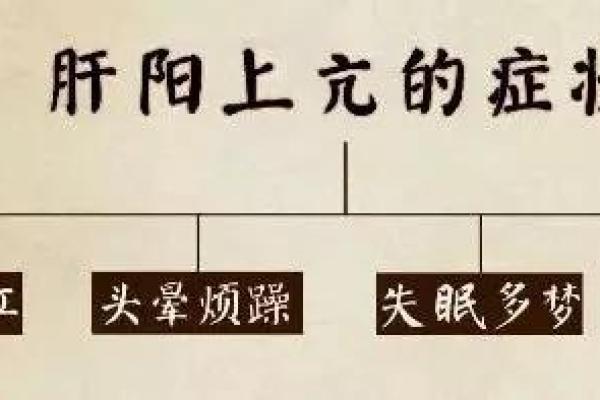 阳命不高的深层解读与生活启示