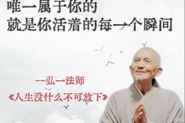 阳命不高的深层解读与生活启示