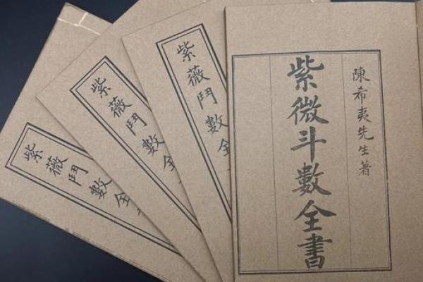 紫微命支：探求命运奥秘的关键之匙