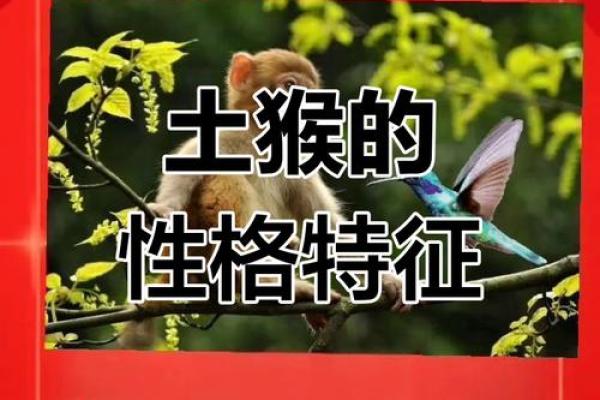 1932年属猴的命运与性格特点探究