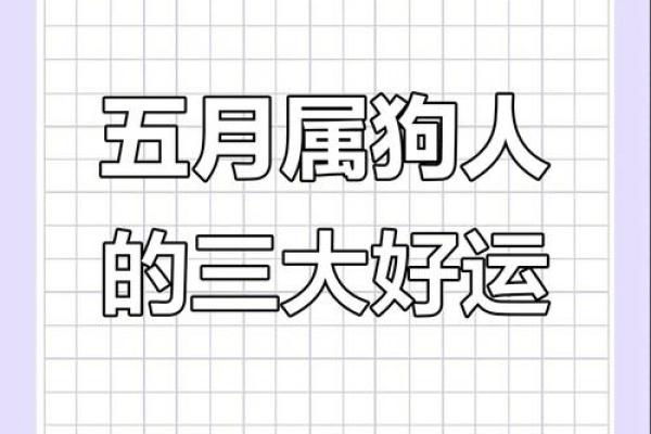 2023年属狗女孩的命理解析：成就与机遇并存的精彩人生