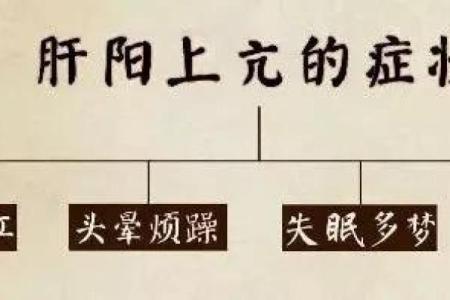 阳命不高的深层解读与生活启示