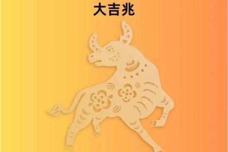 1997年属牛的命理解析：勇敢坚韧，开创未来的精彩人生