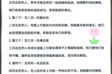1991年8月4日出生的人命运解析与人生指南