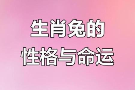211年兔年的命运解析：属兔人的命格与人生运势