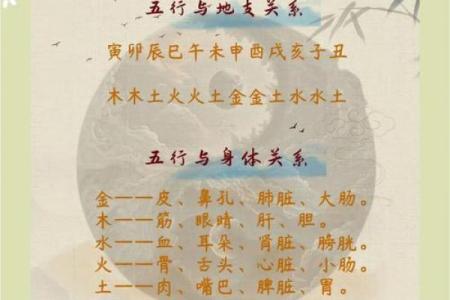 1999年出生的你，命运与运势如何？探秘生肖与五行的奥秘！