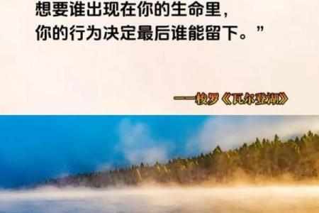 2023年命运解析：拾回自我，迎接心灵的新生之旅