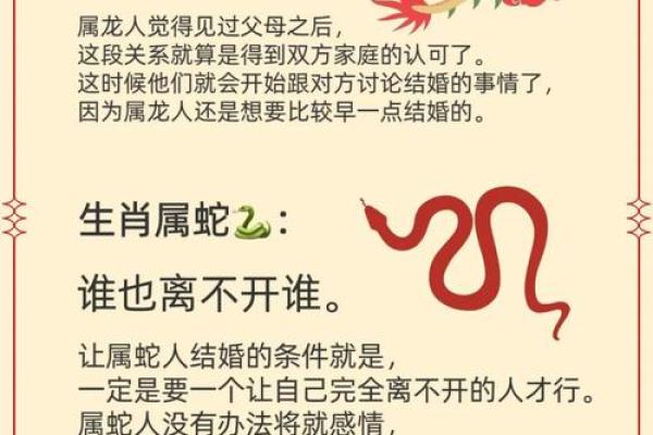 命带金銮：探寻生肖背后的神秘动物与生活哲学