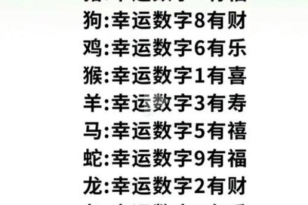木兔命的幸运数字揭秘：寻找到属于你的运势之道