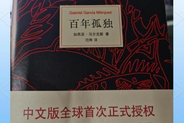 孤命：孤独灵魂的探寻与解读