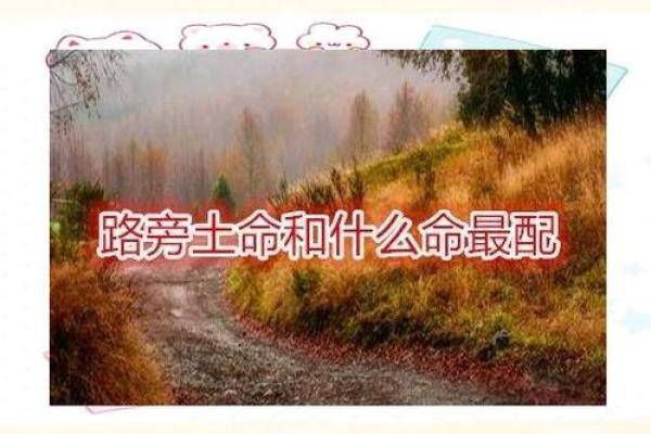 路旁土命人适合的买卖选择与发展建议