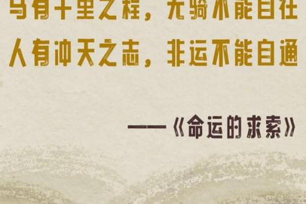 黑命贵与少命贵：理性思考中的生命价值比较