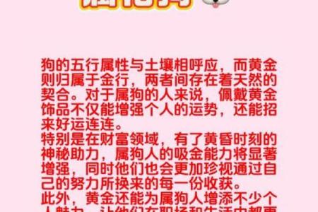 属相与财富：哪些生肖女性有着更佳的财运命？