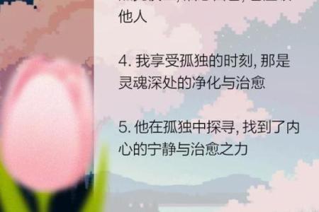 孤命：孤独灵魂的探寻与解读