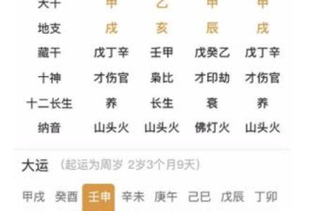 庚午月出生的人命运解析：揭示个性与未来趋势