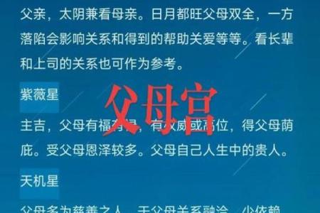 冬月十二：了解命理中的缺失与补救之道