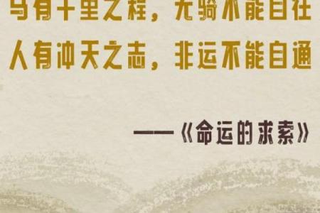 黑命贵与少命贵：理性思考中的生命价值比较