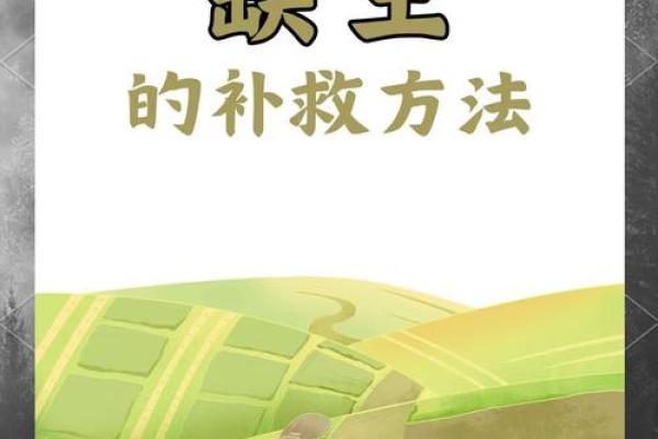 水命缺土最佳颜色指南：如何通过色彩补充你的命格能量