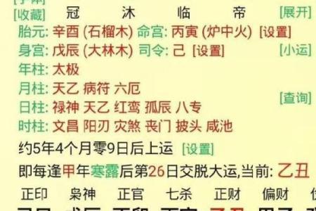 丙子壬辰命人解析：探秘命运背后的神秘力量与人生轨迹