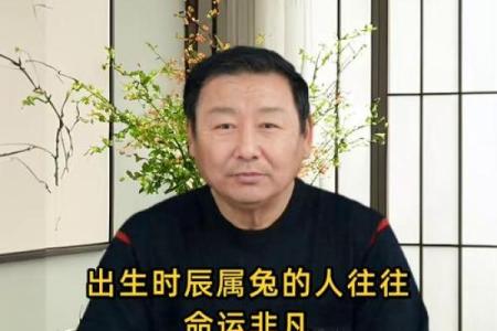属兔1949年出生者的命运分析与生活智慧