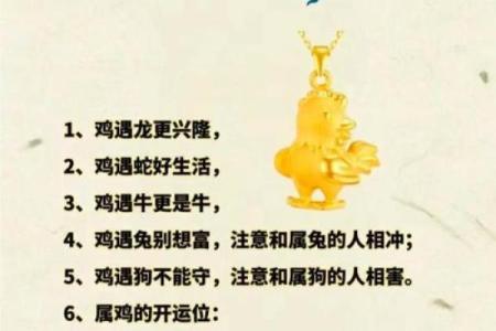 属鸡的12岁：命理解析与积极人生道路的选择