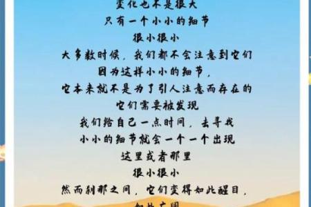 探寻算命小鸟命的深奥含义与人生启示