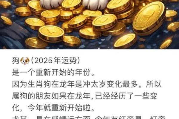 2020年狗人运势分析：揭示命运与生活的交织之道