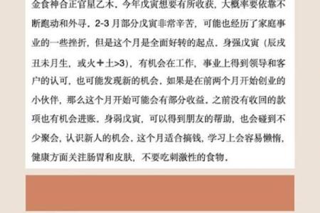 戊子与庚辰：探寻命理中的自然法则与人生哲学