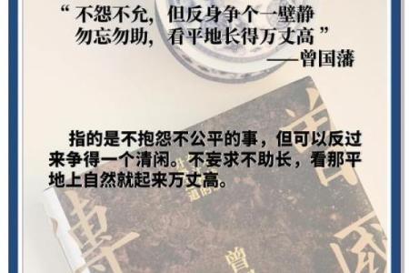 74岁老虎的命运与人生启示：岁月的智慧与坚韧的力量