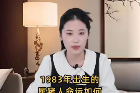 87岁属猪的人命运解析：岁月如歌，人生如梦