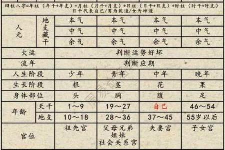 根据人属什么命按什么定义的探讨：命理的奥秘与生活的指导