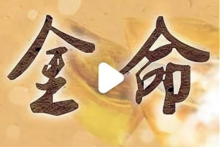 海沙金命解析：命理之中的璀璨之星