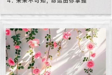 通过命盘解析你的人生密码：探寻内心深处的自我与未来