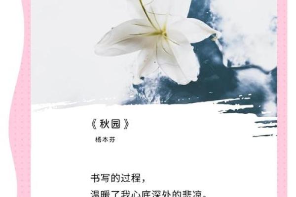 探秘“天天走娘家”的命运之道：生活的智慧与人际的艺术