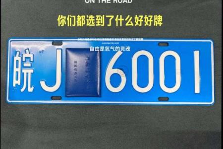 适合山头火命的车牌选择：寻找你的幸运符号与个性之路